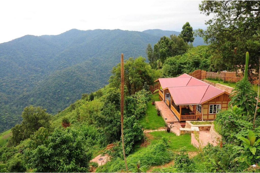 Gorilla Mist Camp – Comfort and Scenic Views in Bwindi’s Ruhija Sector