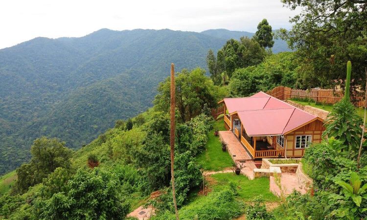 Gorilla Mist Camp – Comfort and Scenic Views in Bwindi’s Ruhija Sector