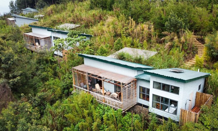 Kiho Gorilla Safari Lodge – Tranquil Gateway to Bwindi’s Gorillas
