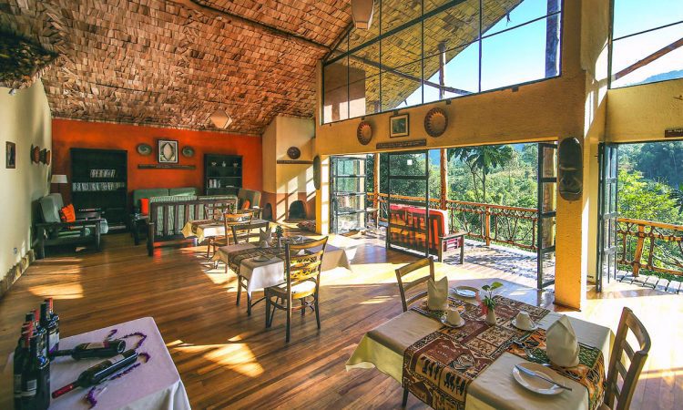 Mahogany Springs Lodge – Luxurious Retreat Near Bwindi’s Gorillas