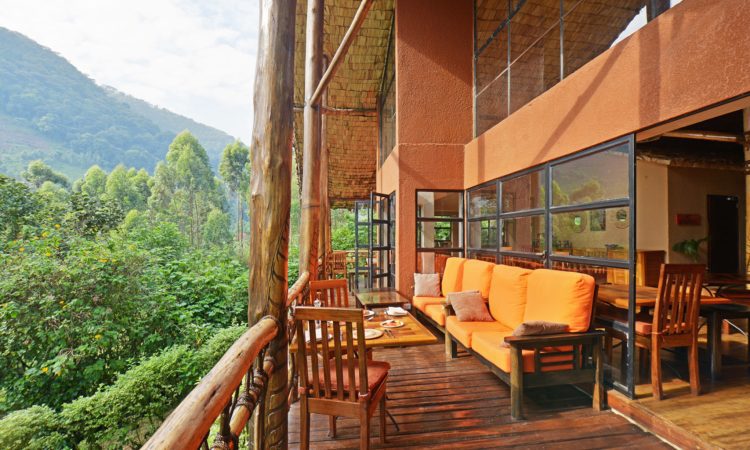 Mahogany Springs Lodge – Luxurious Retreat Near Bwindi’s Gorillas