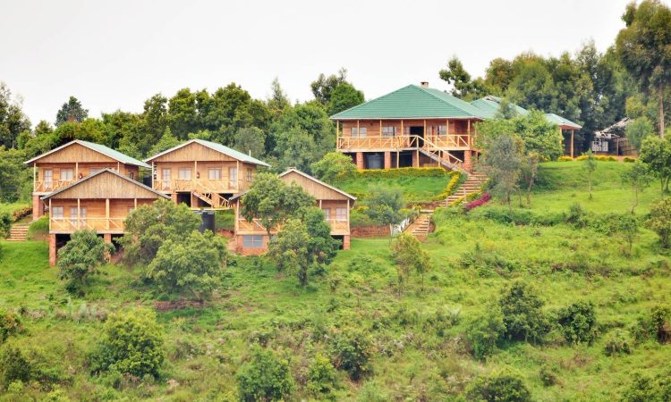 Ruhija Gorilla Safari Lodge – Luxury Stays in Bwindi’s Ruhija Sector