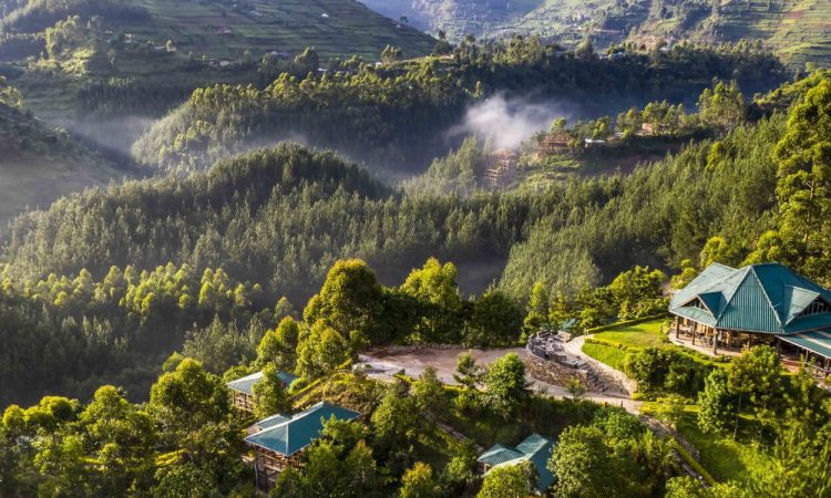 Rushaga Gorilla Camp – Perfect Stay for Gorilla Treks in Bwindi