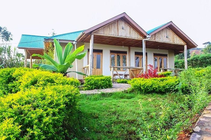 Rushaga Gorilla Havens Lodge – Ideal Stay for Gorilla Treks in Bwindi