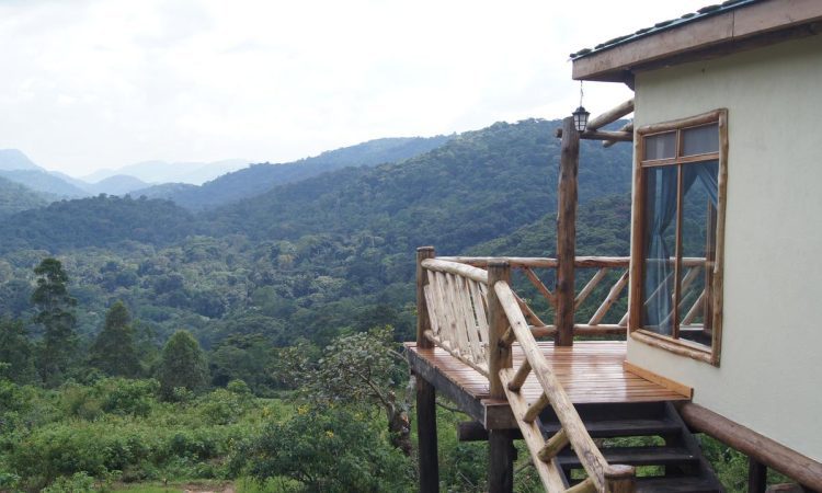 Rushaga Gorilla Havens Lodge – Ideal Stay for Gorilla Treks in Bwindi
