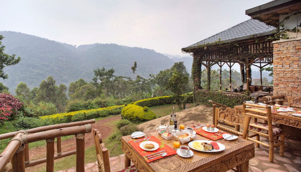 Silverback Lodge – Ideal Bwindi Accommodation for Gorilla Trekking