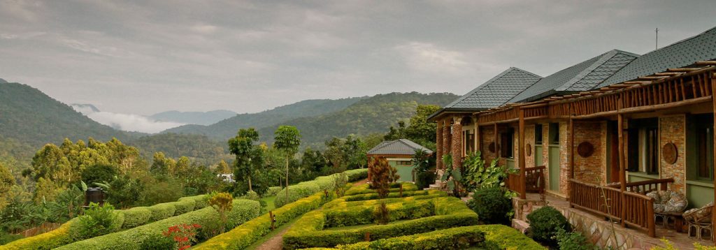 Silverback Lodge – Ideal Bwindi Accommodation for Gorilla Trekking