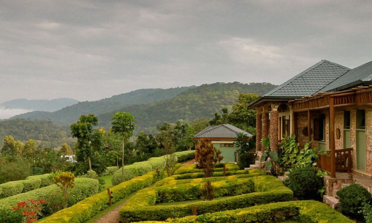 Silverback Lodge – Ideal Bwindi Accommodation for Gorilla Trekking