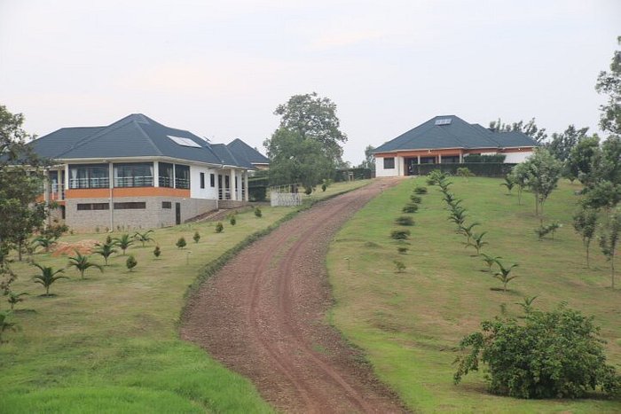 The Crested Crane Bwindi Hotel – Comfort & Nature Near Bwindi