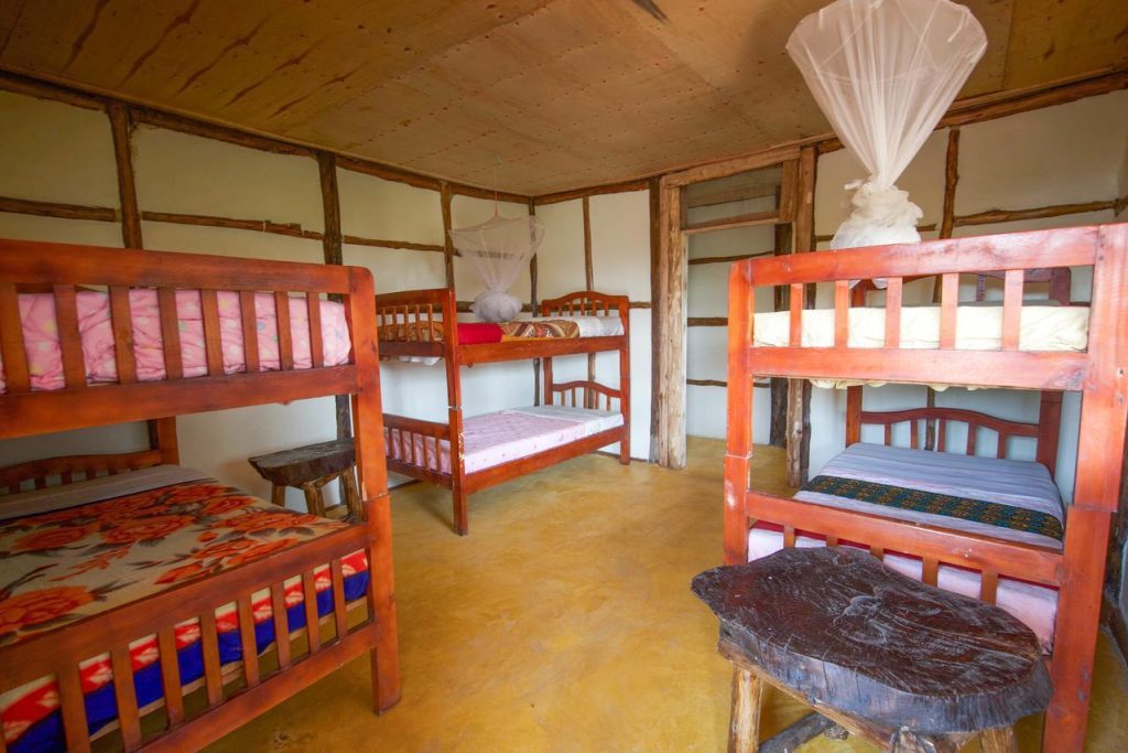 Tree Climbing Lions View Lodge – Unique Stay Near Queen Elizabeth Park