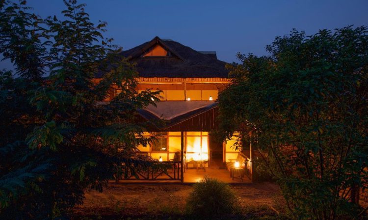 Tree Climbing Lions View Lodge – Unique Stay Near Queen Elizabeth Park