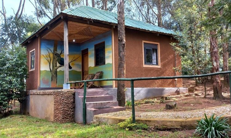Trekkers Tavern Cottages – Cozy Stays in Bwindi’s Ruhija Sector