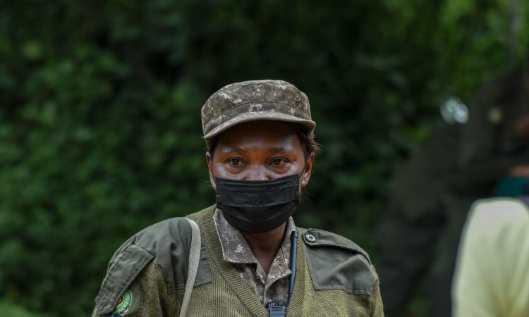 Experience Cultural Village Walks in Bwindi - Local Insights & Traditions