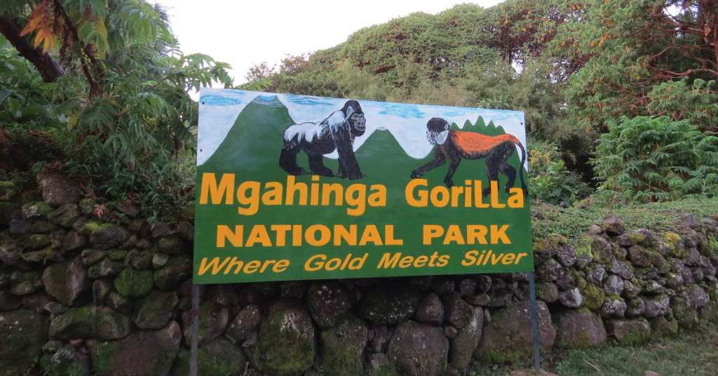 Explore Mgahinga National Park – Uganda’s Gorilla and Golden Monkey Haven