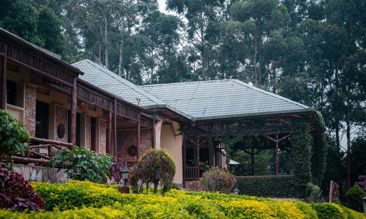 Explore the Gates of Bwindi – Key Access Points to Uganda’s Gorilla Park