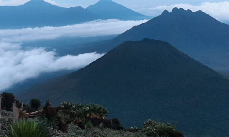 Mount Muhabura - Hiking Adventures on Uganda and Rwanda’s Border