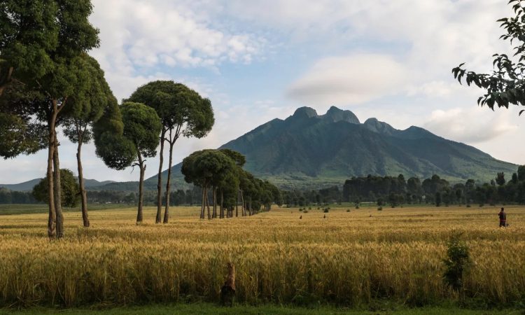 Mount Sabyinyo - Hiking Adventures at Uganda's Tri-Border Peak