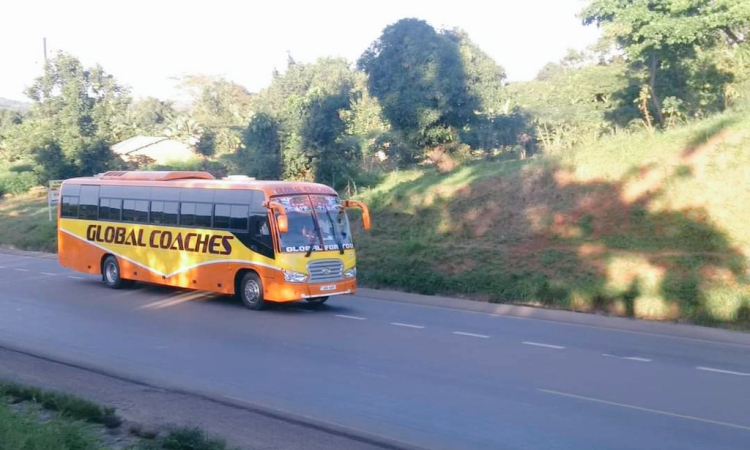 Traveling to Bwindi by Public Transport - Budget-Friendly Guide