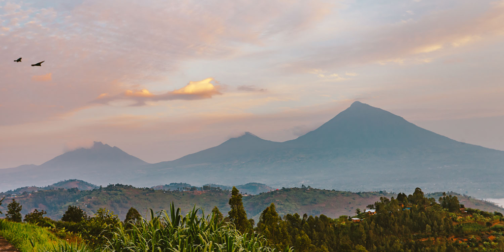 Virunga Mountains - Volcanoes, Wildlife & Trekking Adventures
