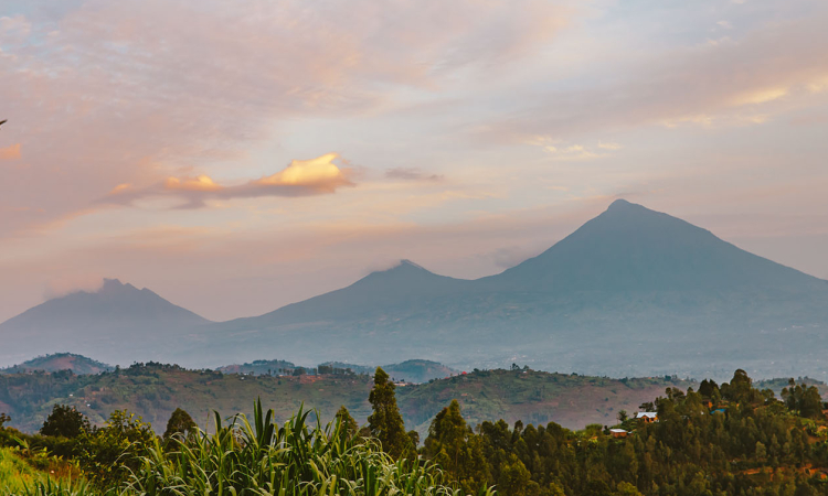 Virunga Mountains - Volcanoes, Wildlife & Trekking Adventures