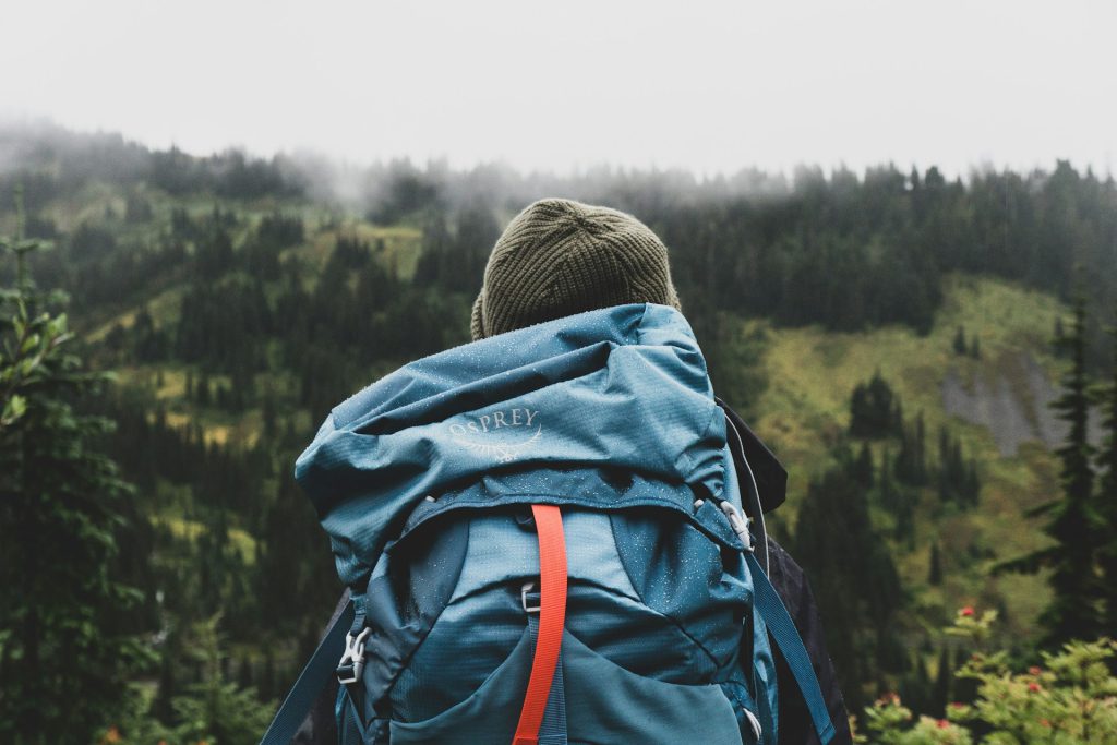 Backpacking Gorilla Trekking in Uganda - Affordable Bwindi Adventure