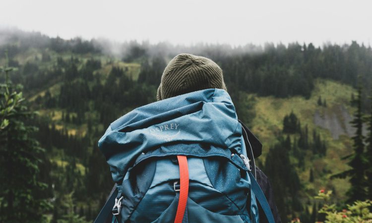 Backpacking Gorilla Trekking in Uganda - Affordable Bwindi Adventure