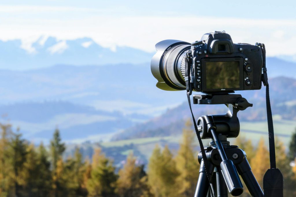 Gorilla Photography in Uganda