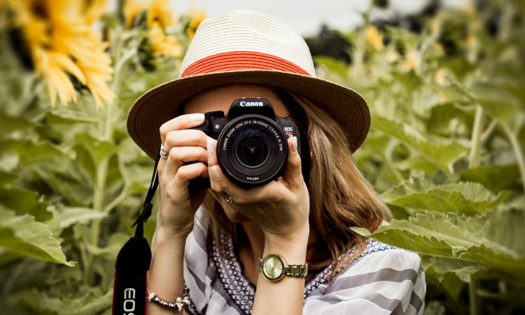Gorilla Photography in Uganda - Tips for Capturing Wildlife Images