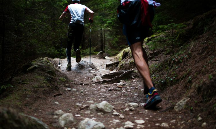 Explore the Diverse Muzabajiro Loop Trail in Bwindi
