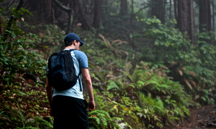 Hike the Muyanga Waterfall Trail in Bwindi National Park