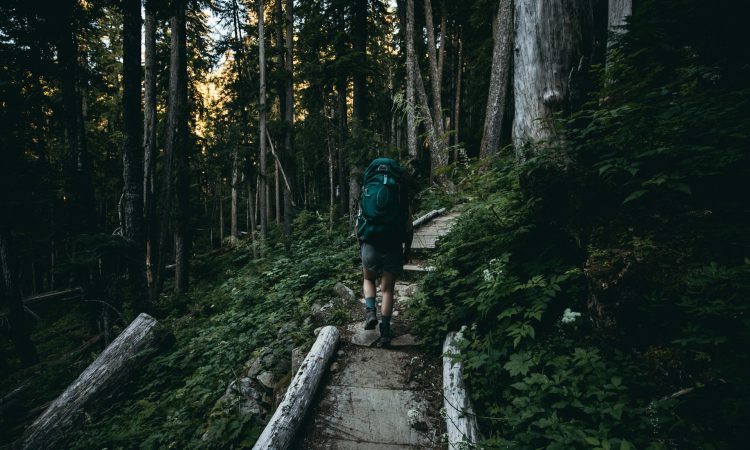 Hike the Rushura Hill Trail for Amazing Bwindi Views