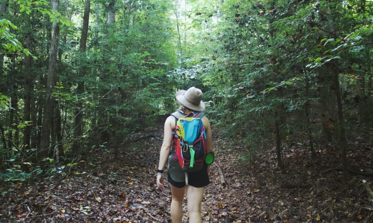 Hike the Rusizi River Trail in Bwindi National Park
