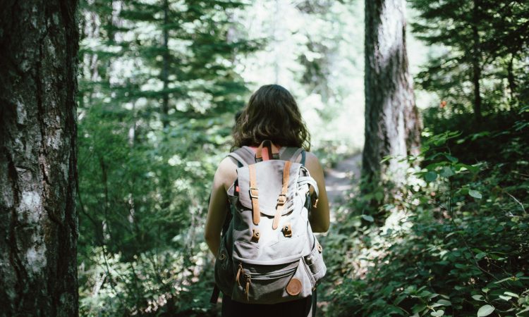 Hiking Trails in Bwindi Impenetrable National Park