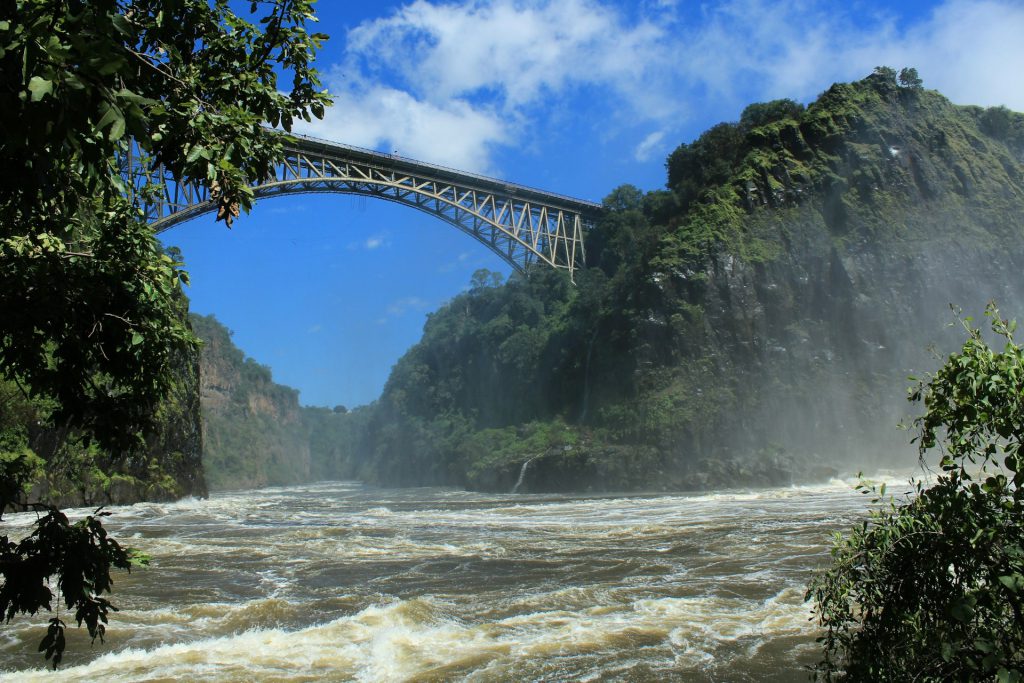 Bwindi Gorilla Trekking Tours from Victoria Falls