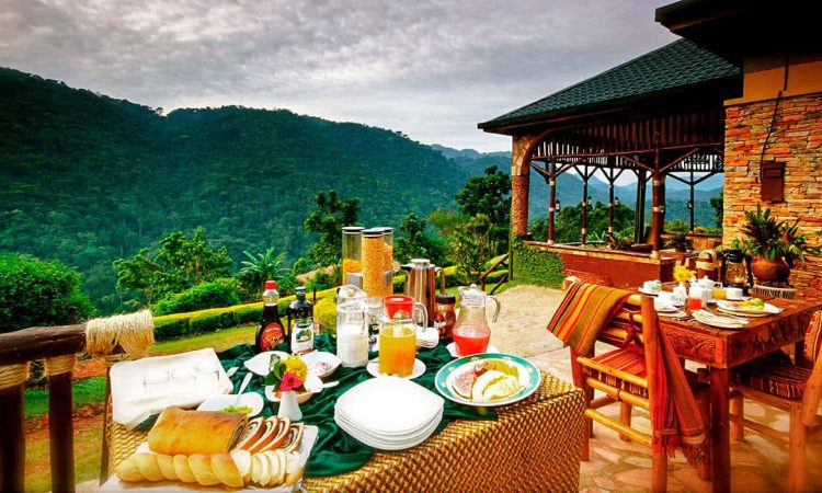 Experience a Bush Breakfast in Bwindi Impenetrable National Park