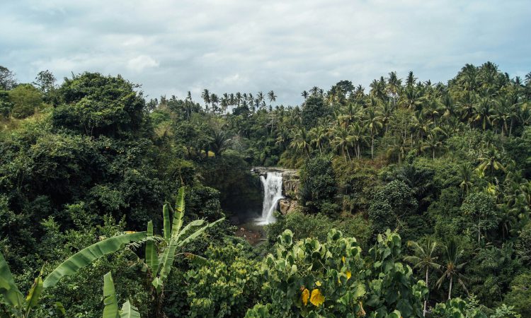 Exploring the Waterfalls of Bwindi Impenetrable National Park