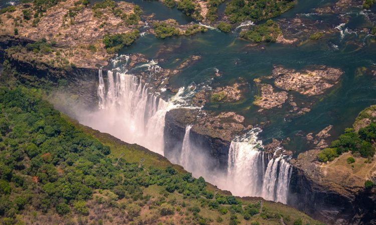 Gorilla Trekking Tours from Victoria Falls in Zimbabwe to Bwindi Impenetrable National Park