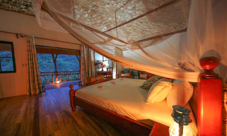 Romantic Honeymoons in Bwindi - Gorilla Trekking & Luxury Lodges