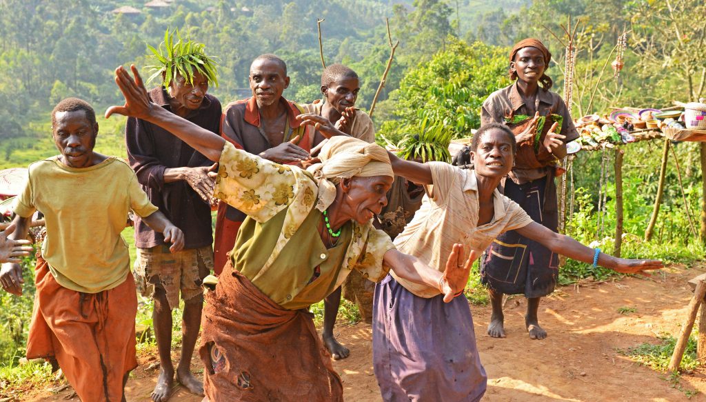 Echuya Forest Reserve - Biodiversity, Wildlife & Batwa Heritage