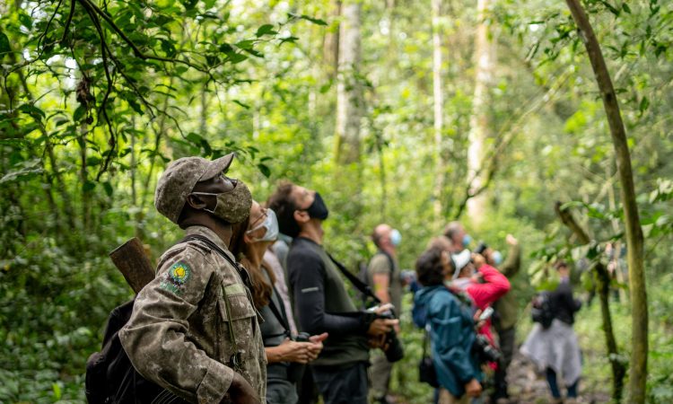 Porters in Bwindi Impenetrable National Park